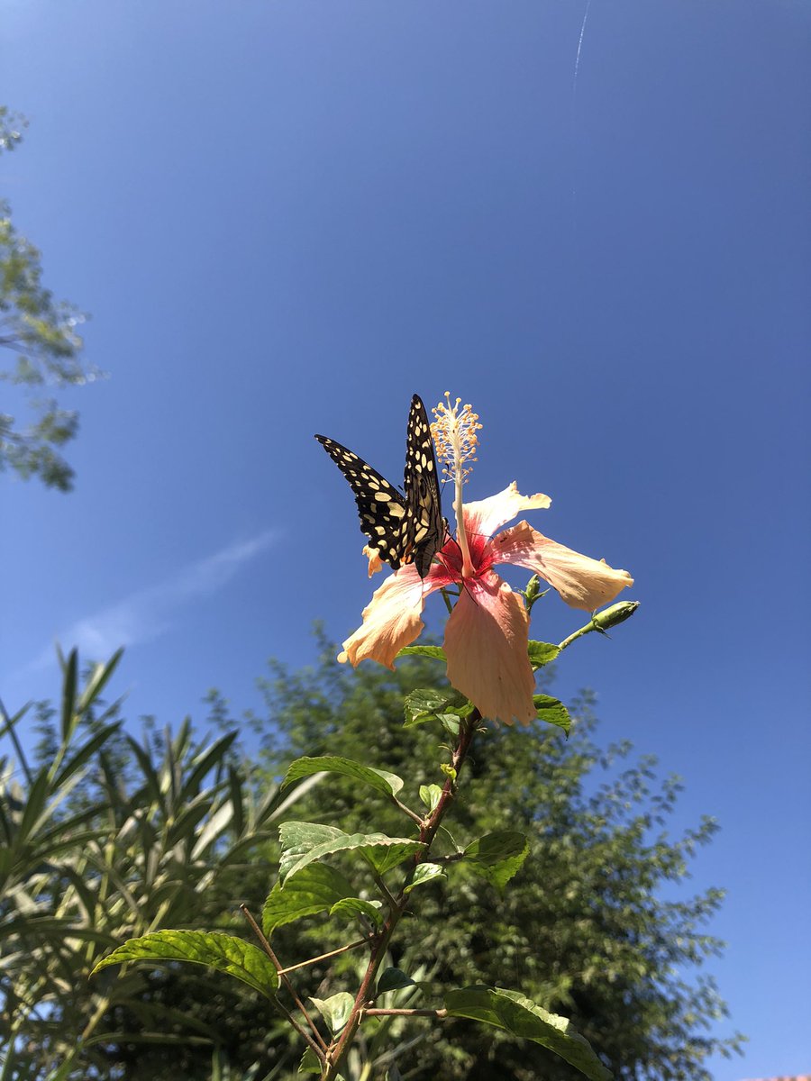 اپنے موبائل ، کیمرہ سے بنائی گئی سب سے خوبصورت تصویر کمنٹس میں شئیر کریں۔ شکریہ
