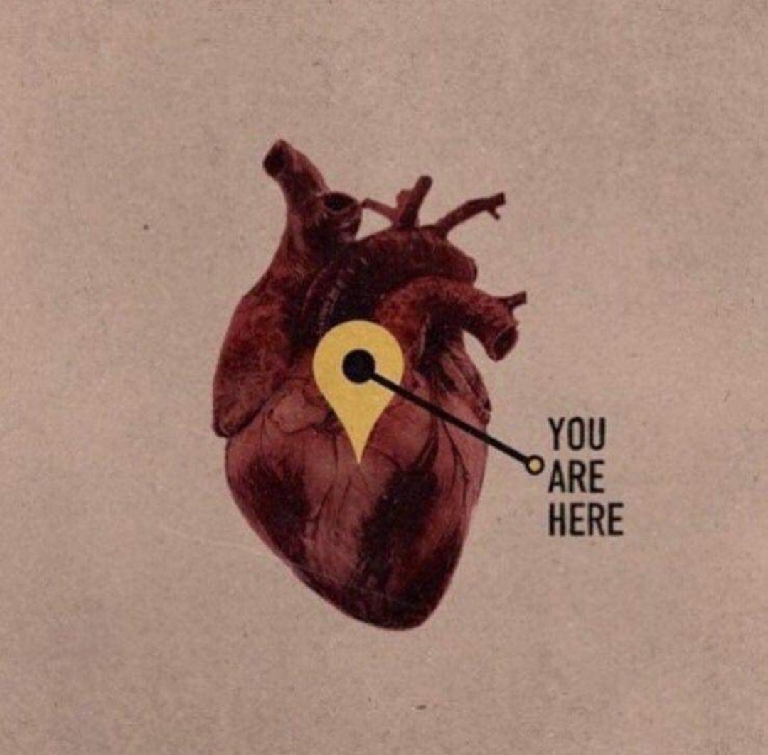 Friducha_me's tweet photo. Il cuore #daSolo può sopportare più pesi di quanto tutto il corpo possa fare.. ed allo stesso tempo non perde mai le ali per volare https://t.co/l9QrobMWwd