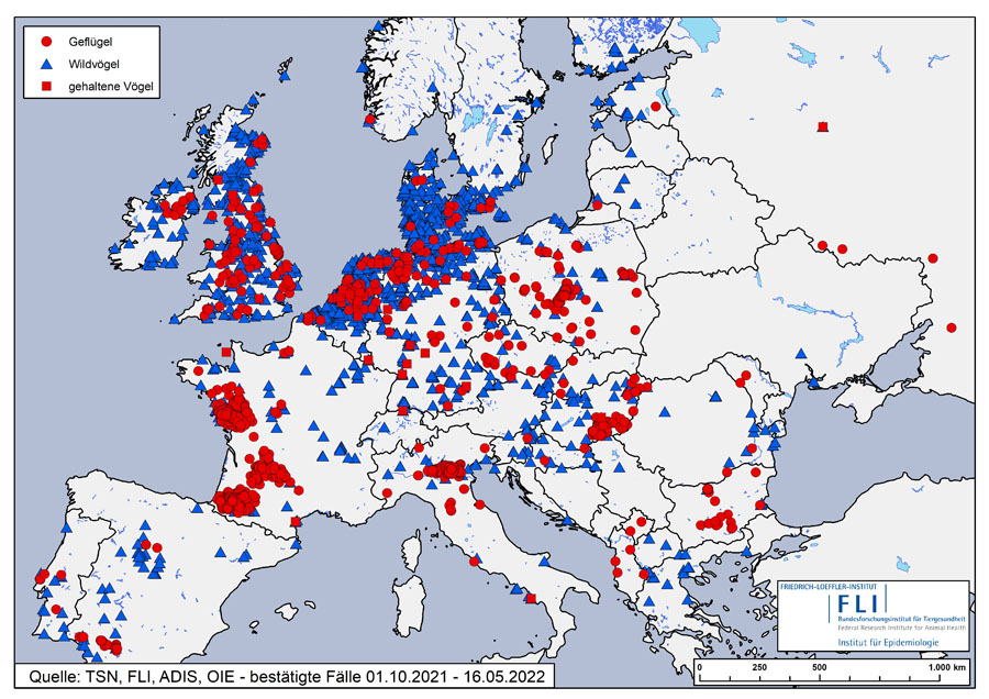 Nancy Gregory Gossip Avian Influenza Europe Map