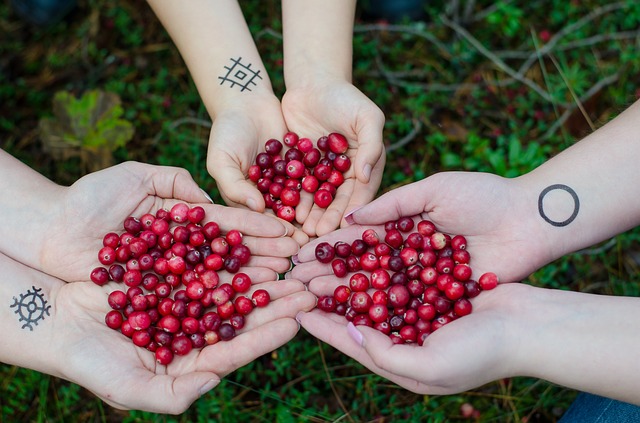 HealthyHubb's tweet photo. 15 Incredible Health Benefits of Cranberry Juice
https://t.co/5w0I3t4PaN https://t.co/LoR3GvN6yq
