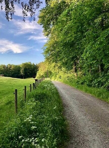 Good Day 💚💚💚💚