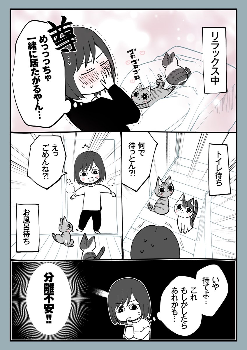 12.分離不安? 