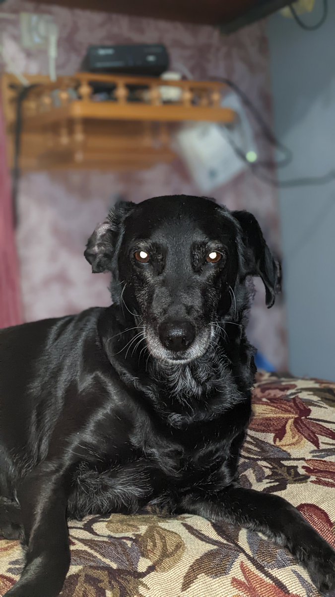 Good morning 🌄 #nft_community, do you know what Jina's favorite word is? - "წამო ვჭამოთ", that means, come let's eat 🥹
#NFT 
#NFTs