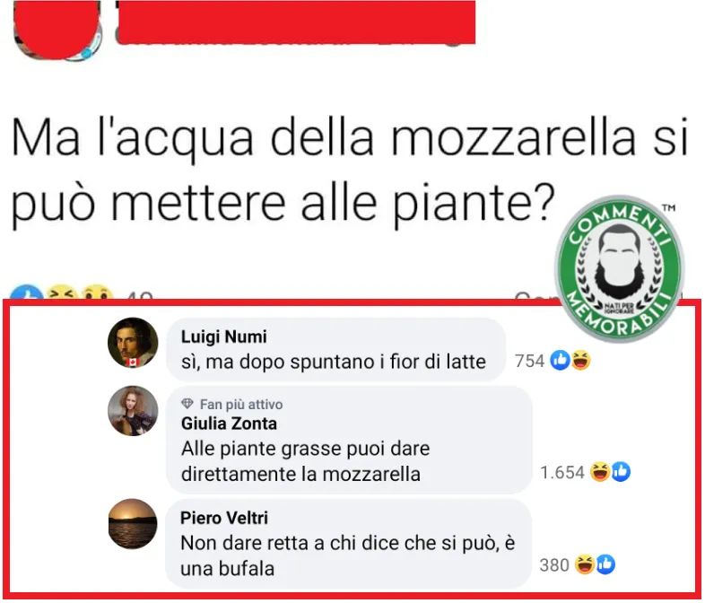 🤣🤣🤣
