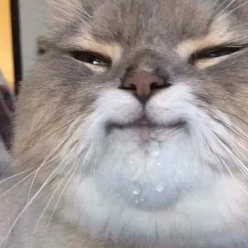 Anthropolegiste's tweet photo. Moi après une soirée pizzas qui me lève la nuit pour boire 4 litres d'eau https://t.co/sLbenJbm86