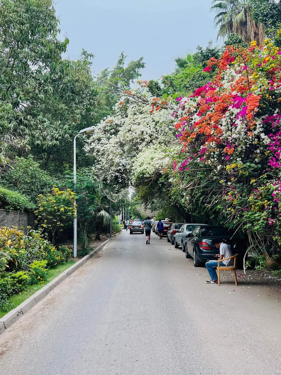 Africa Facts Zone on Twitter: