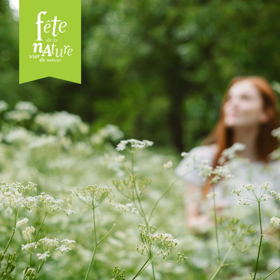 ☘️Het is vandaag Wereld #Plantendag. Weet jij veel over planten en wil je dat tijdens Fête de la Nature overbrengen op anderen? Organiseer een #feestje en doe mee! bit.ly/3PdkN0R #fetedelanature