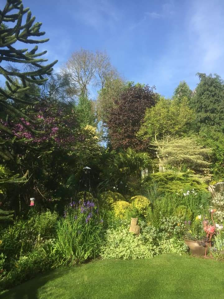 Thurs 19 May The Secret Garden 3 Banktop Cottages Little Haywood ST18 0UL will be open for the first time this season 11-4. findagarden.ngs.org.uk/.../20383/the-…  
½ acre, trees &amp; shrubs, underplanted with perennials, bulbs &amp; clematis, laburnum, rose tunnel, unique buildings. adm £4 child free