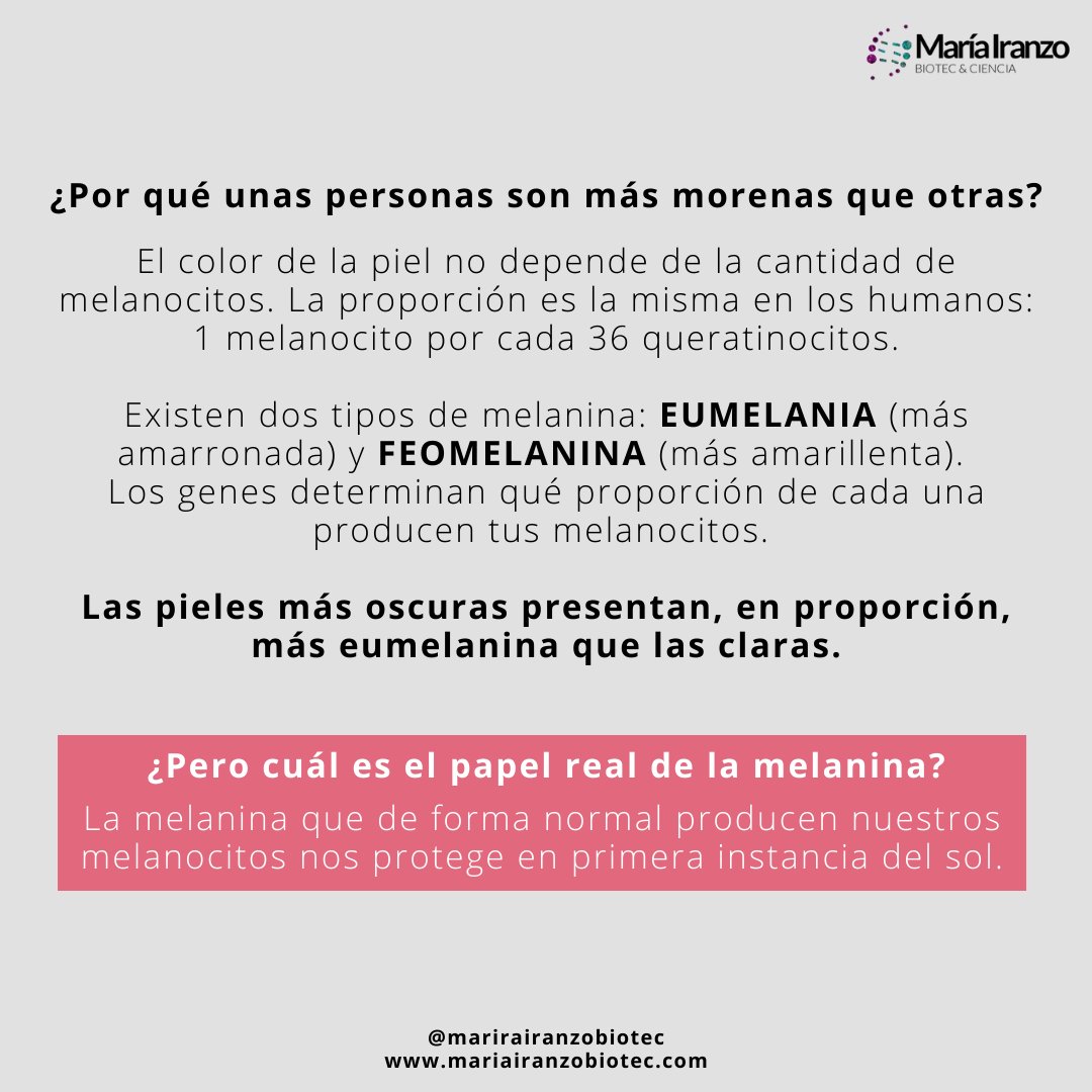 MariaIranzoBio's tweet photo. Conocemos la peligrosidad de la #RadiacionUV y su implicación en el #Cancer pero.. .¿El #Sol no contribuye  a la producción de vitamina D? ¿La #ProtecciónSolar impide su síntesis? ¿Utilizar protección es equivalente a no broncearse?… 

#FelizMiercoles

https://t.co/iqwmeYL7Q7 https://t.co/2JwiTrXaQk