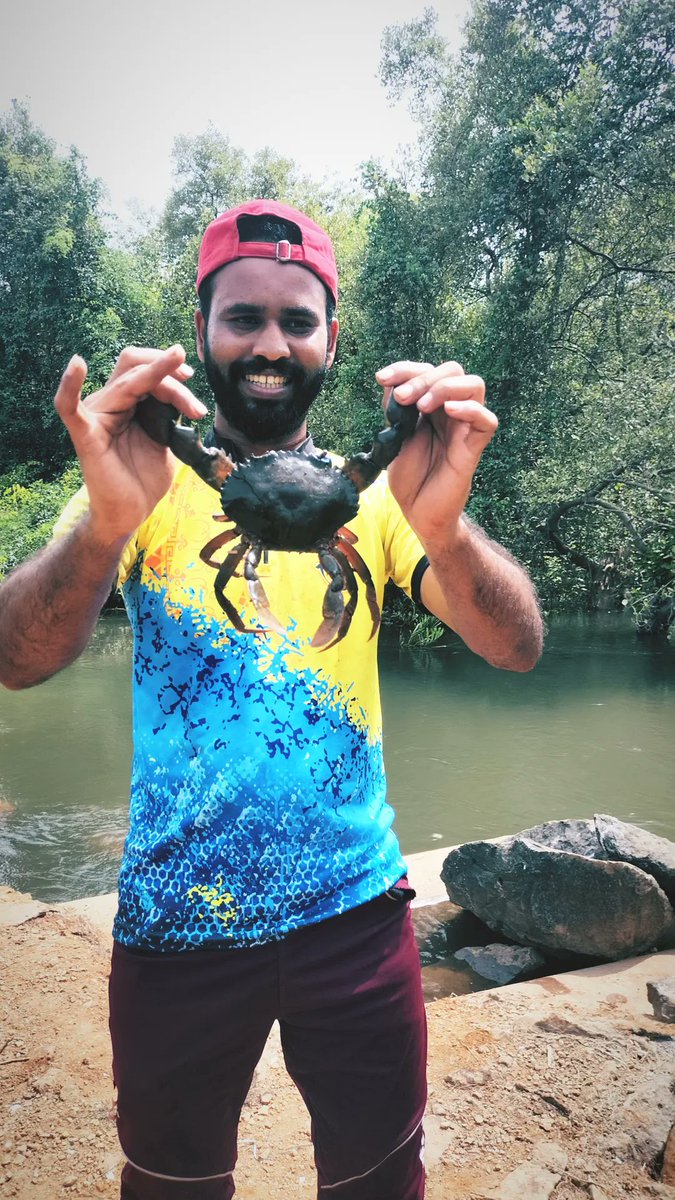 RajeshRamane3's tweet photo. Crabs https://t.co/0buCKB9Mfq