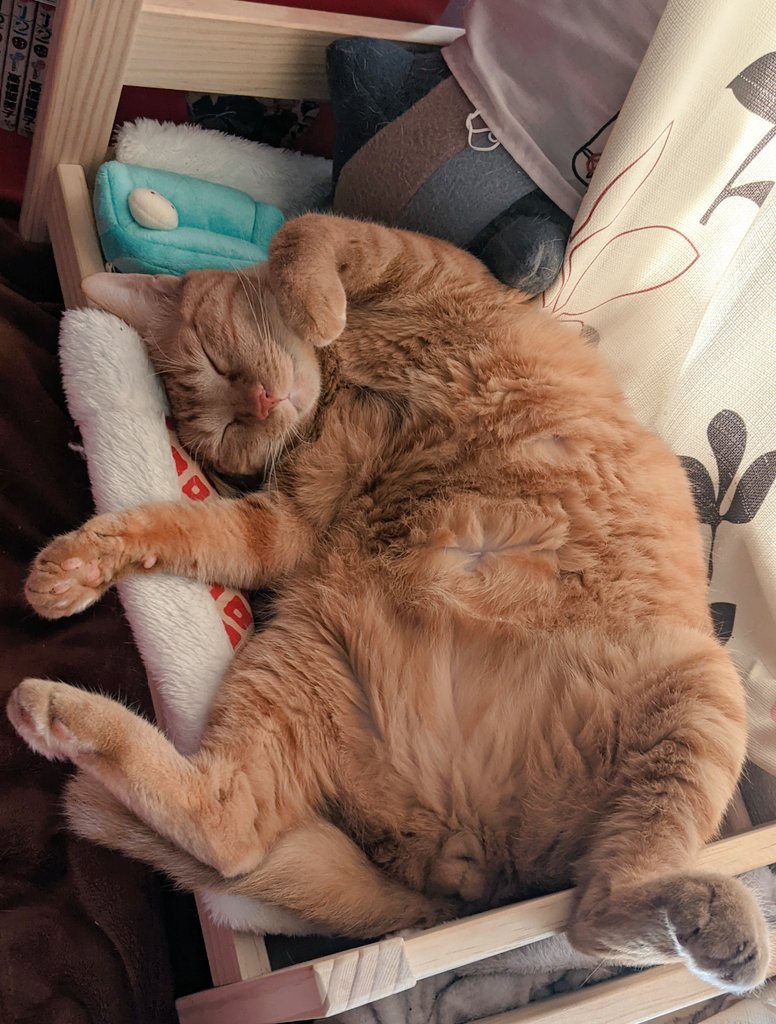 猫さんがお腹を見せてくるのは さわって じゃないことがあり 撫でるとおキレになる うちの猫まさにそれ Togetter