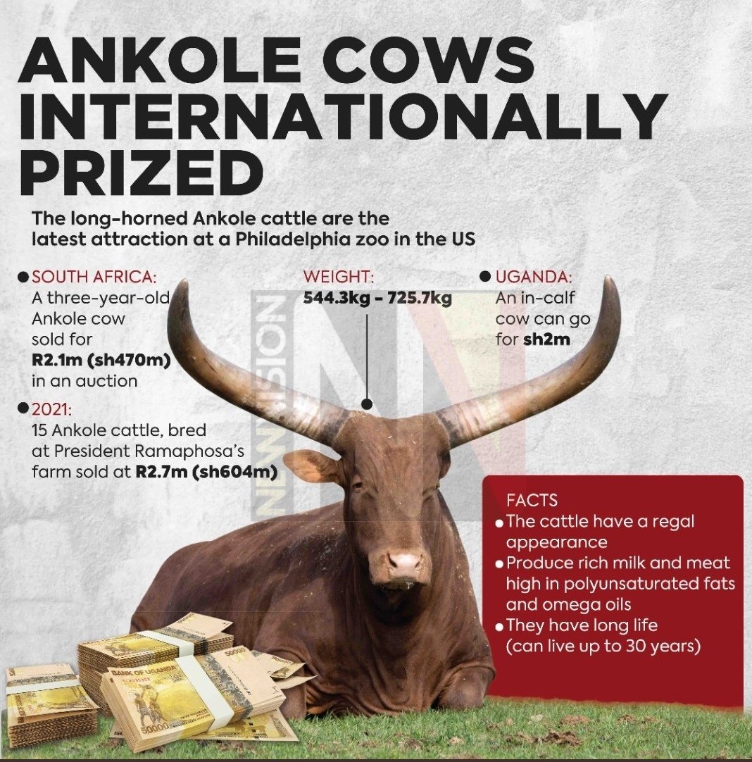 bbuteera's tweet image. Money laundering 101