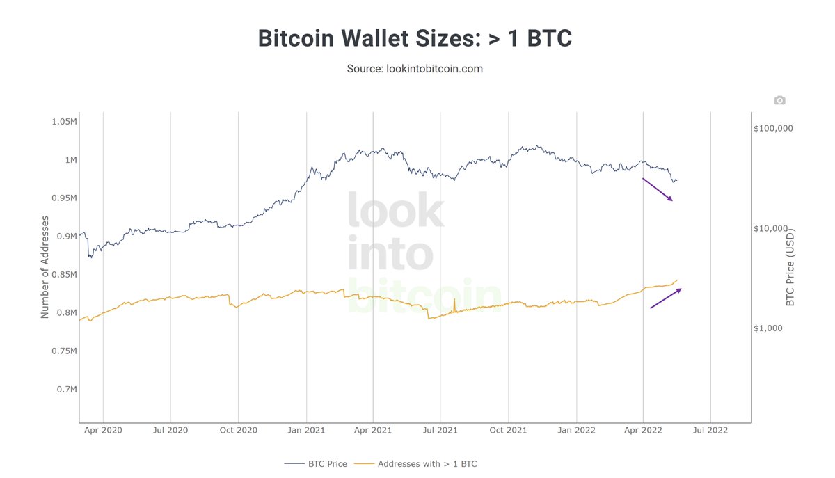 Philip Swift tweet media