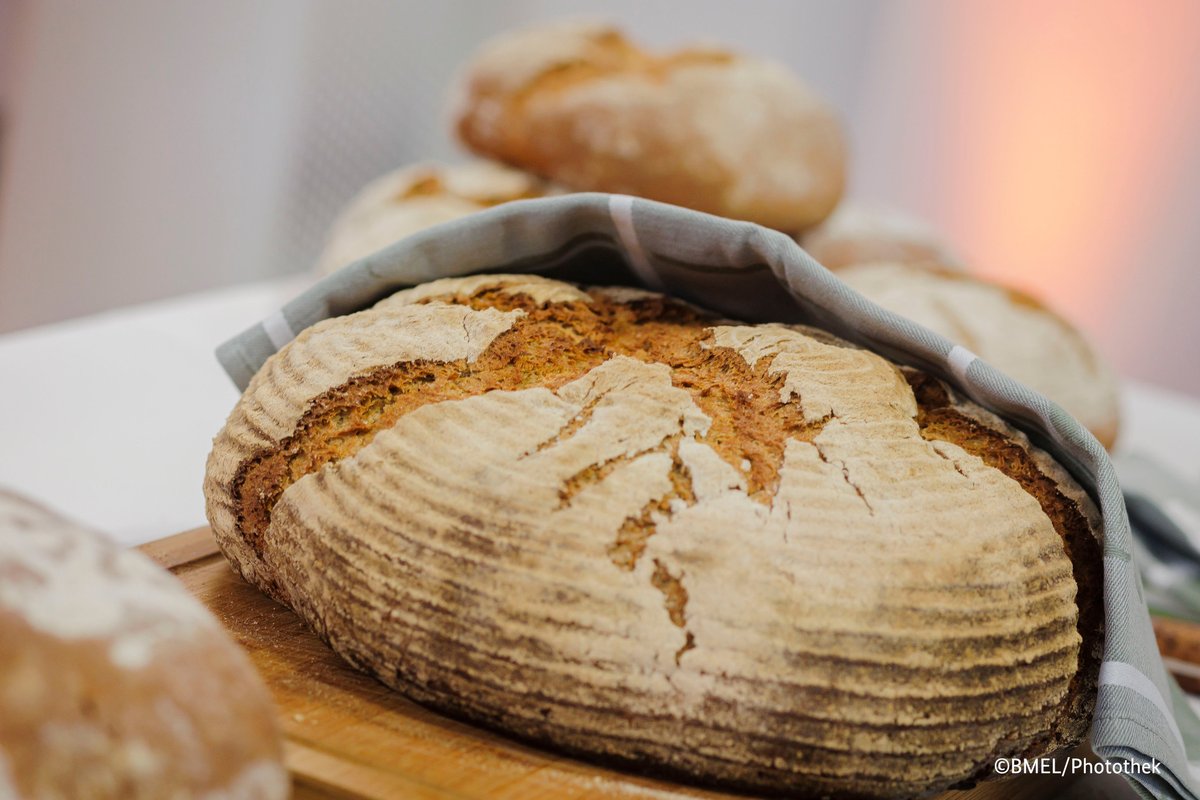 BMLEH_Bund's tweet photo. Brot ist auf der ganzen Welt ein Grundnahrungsmittel, aber nirgendwo gibt es so eine Vielfalt an unterschiedlichen Broten, wie bei uns in 🇩🇪: Rund 3000 Sorten zählt das Brotregister. 

Seit 2014 ist das deutsche #Brot sogar immaterielles Weltkulturerbe. 

#TagDesDeutschenBrotes https://t.co/pwV63eg2xB