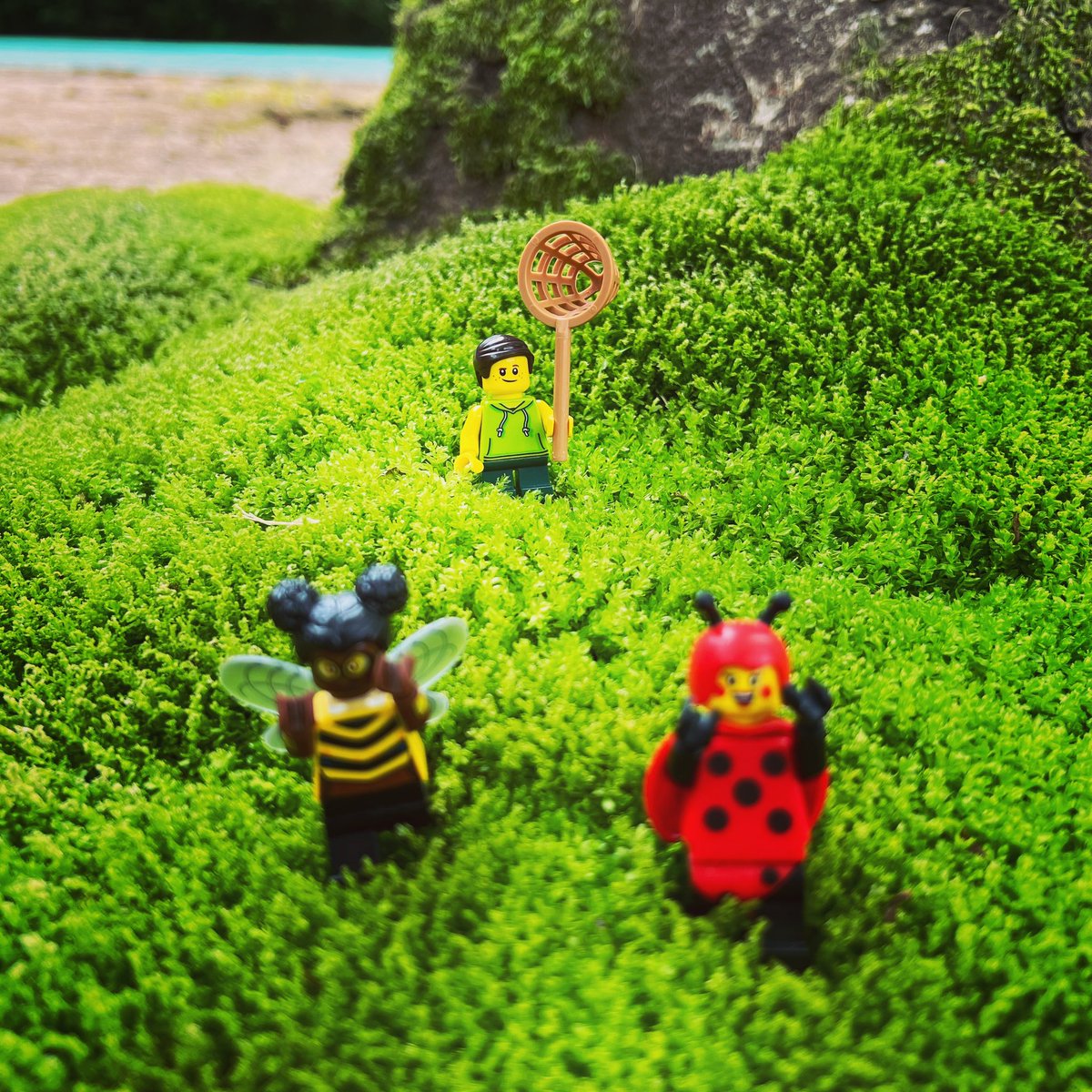 brick_fam's tweet photo. It’s getting hotter these days, our son can’t wait to go catch different bugs!
��近暖かくなってきましたね!息子は虫かごと網を買って、虫捕りの準備万端!
#lego #bugs #bee #labybug #bugcatching #summer #weather
#レゴ #虫 #虫取り #虫網 #虫かご #夏 #てんとう虫 #はち #虫取りの季節 https://t.co/4qCtVVjW9V
