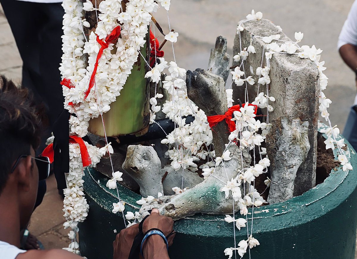 Vithushan Jeyachandran tweet media