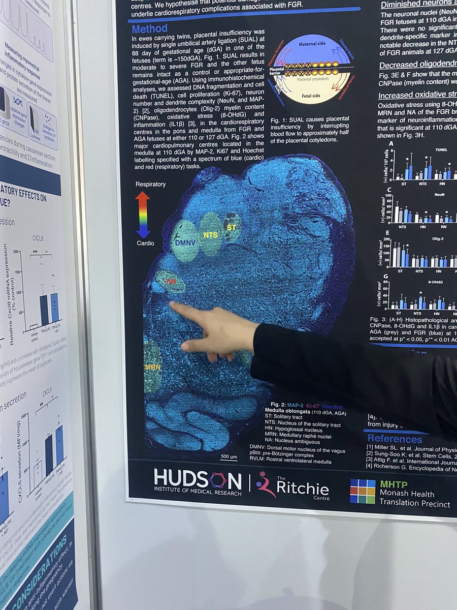 Madeleine Smith tweet media