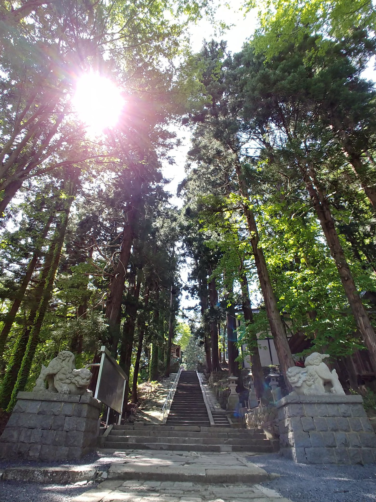 ササムネ㌠杜王町 on Twitter 