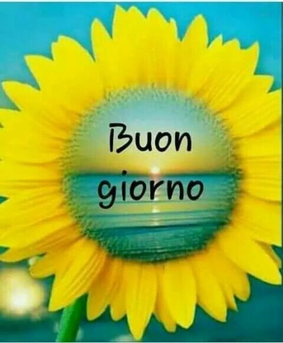 KatyaVigliotta's tweet photo. Buongiorno https://t.co/PIuNvPv7LX