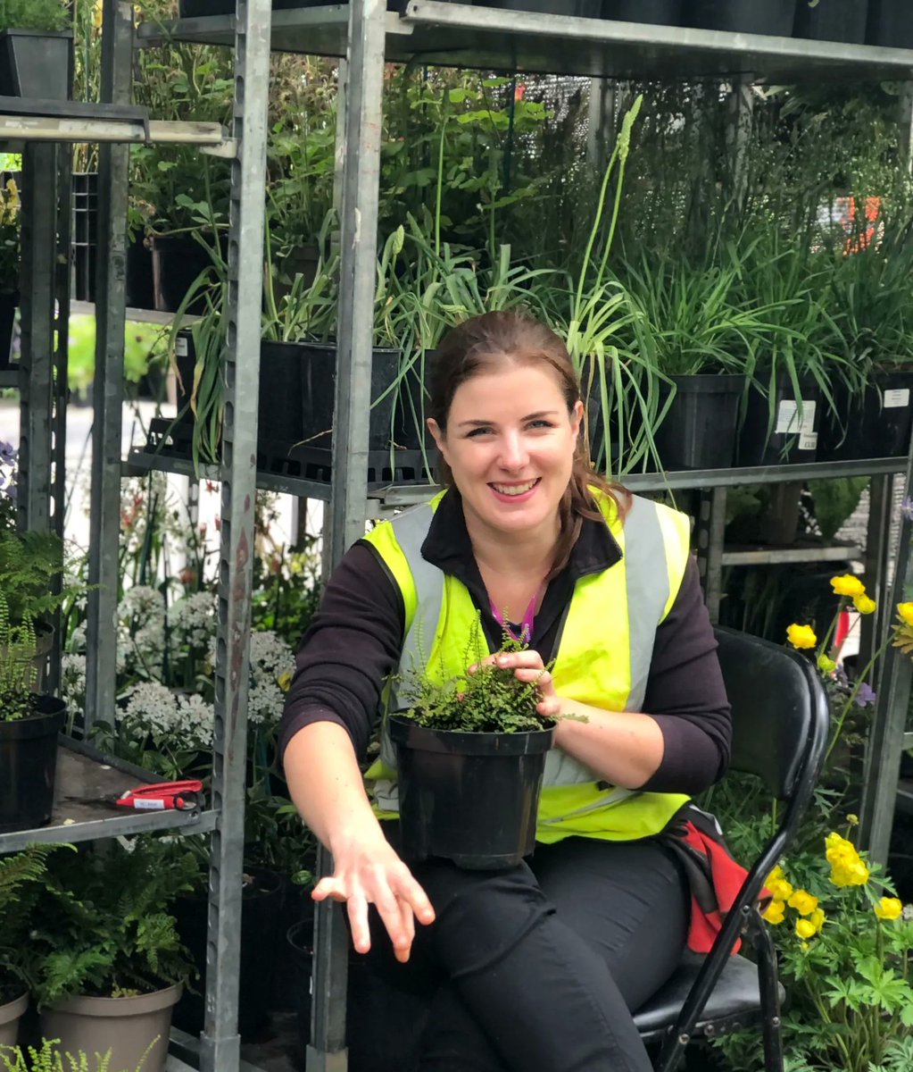 So great to be working with all these lovely people - it’s such a team effort, great fun and bloody hard work, particularly with the great British weather to keep us all well watered!
👩‍🌾🧑‍🌾🪴
#rhschelsea #ChelseaFlowerShow