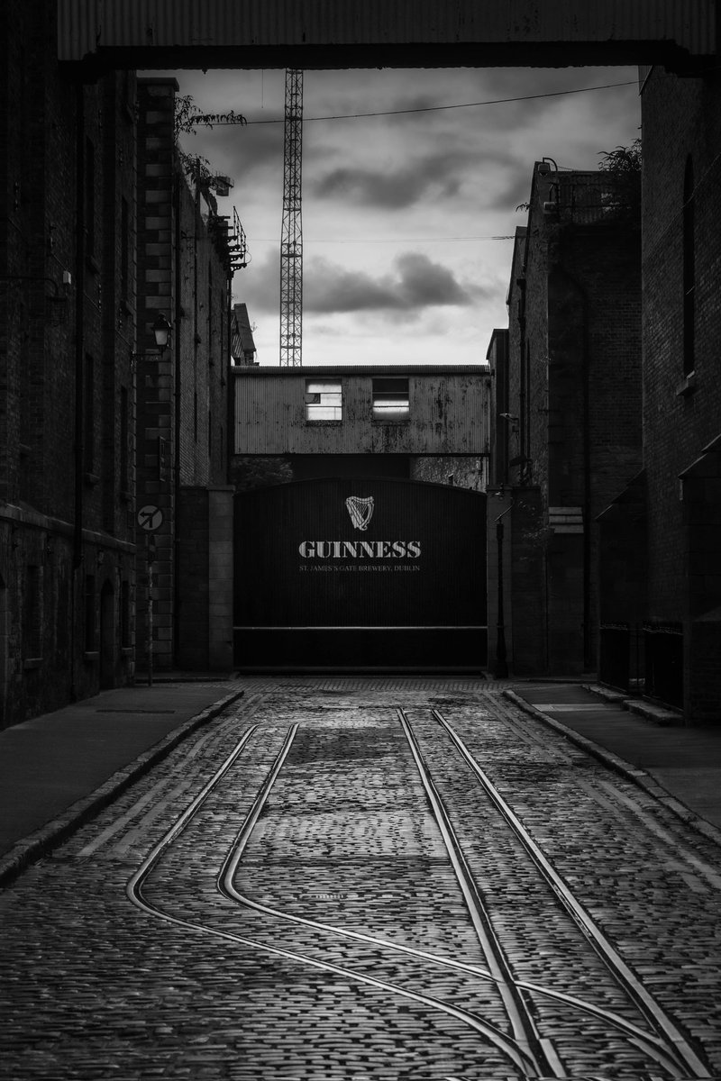 NykielMike's tweet photo. Hey @GuinnessIreland, you wanna buy this photo from me? Let's talk! https://t.co/ZitO6Z9trq
