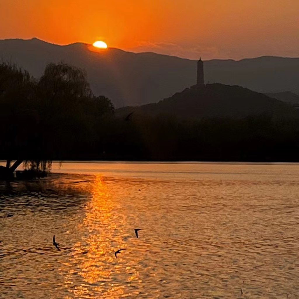 KimKimchan9808's tweet photo. Which productiv way you chooses to spend your #leisure time? I prefer a short trip to the outskirts or the parks scattering in a city. Take a deep breath and embrace our connection with #nature.  #photography #cityphotos https://t.co/QuGkizKJ0w