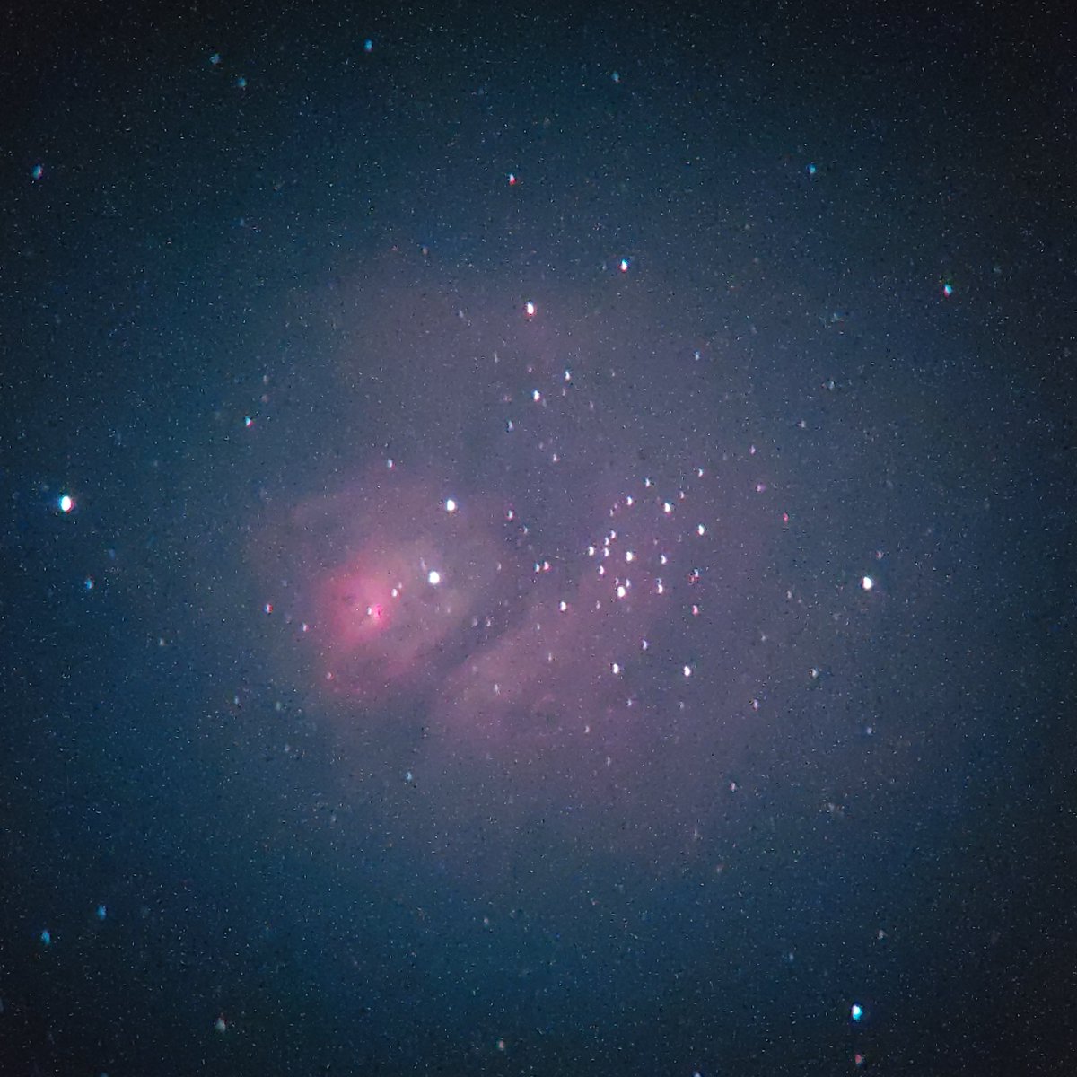 Brandon Flores 🇺🇦 tweet media