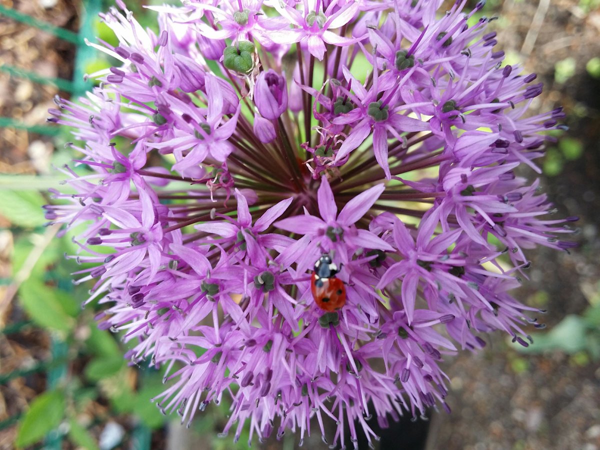 Brookside Students tweet media