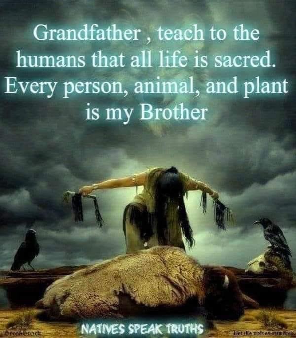 NativeSoulLove1's tweet photo. https://t.co/HYlIXwpmGL