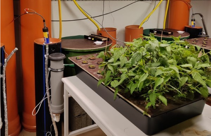 Join us today for our online webinar series! Today's presentation is on the utilisation of data mining and science to optimise aquaponics systems, from our collegue Phuong Le, at  <a href="/UniEastFinland/">University of Eastern Finland</a> 

See you there: gu-se.zoom.us/j/68108794075