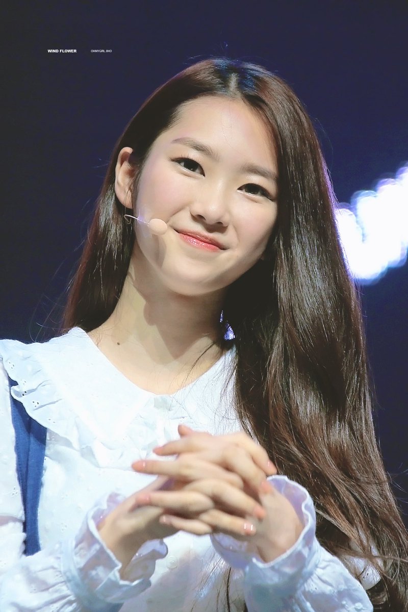 wind flower tweet media