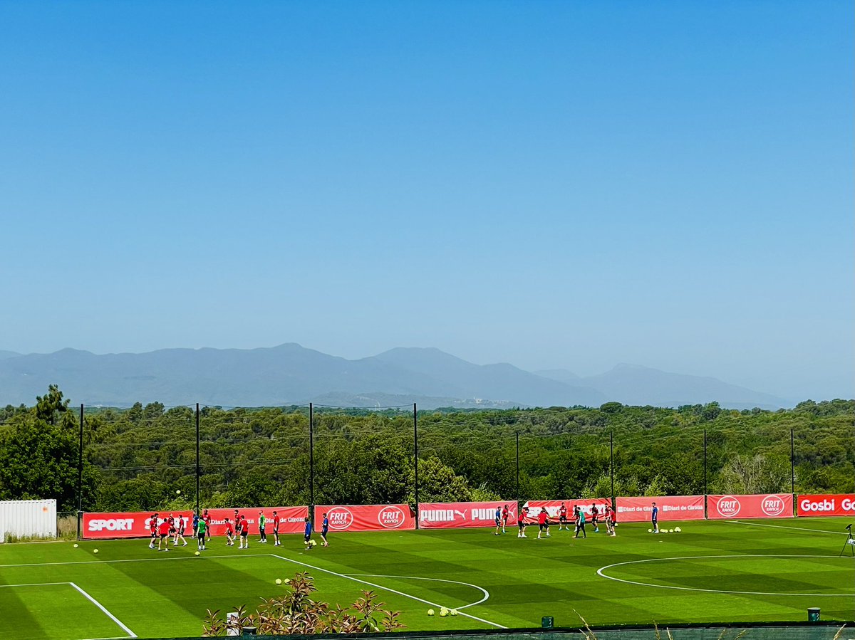 Matt Williams tweet media