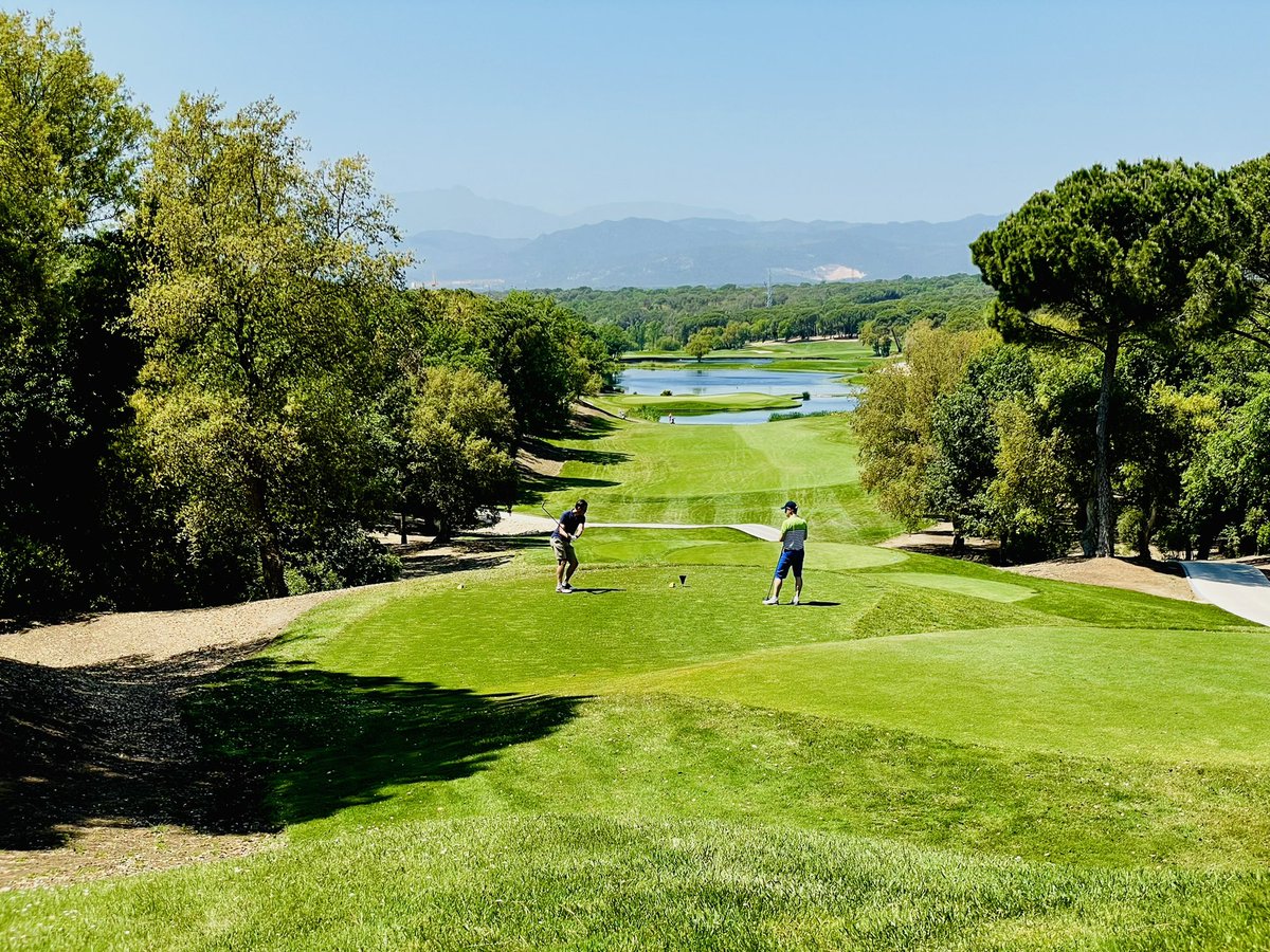 Matt Williams tweet media