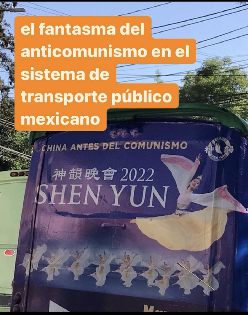 Pelemos el ojo en CR si llegase esta basura 😂 chao shein yun