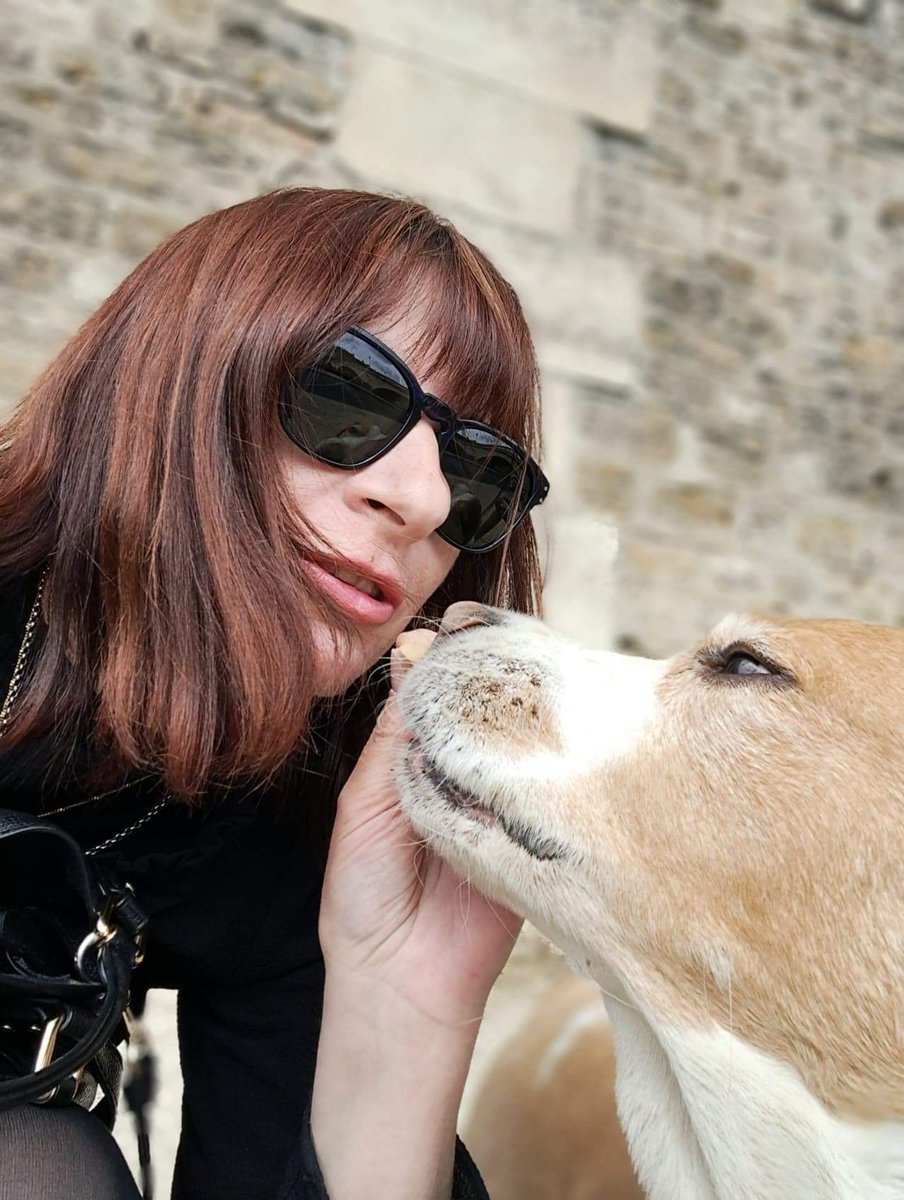 Miccà-Strega tweet media