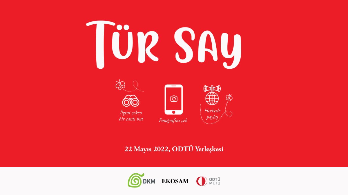 ODTÜ kampüsünde doğayı ve biyolojik çeşitliliği keşfetmeye hazır mısınız? 🦋🍀 Bu yıl dördüncüsü düzenlenen Tür Say! etkinliğine katılmak için 👉 forms.gle/EHGGauEiHpNctk…
@EkosamOdtu @odtudedoga 

#türsay2022 #bioblitz #vatandaşbilimi #citizenscience #biyoçeşitlilik #ODTÜ #METU