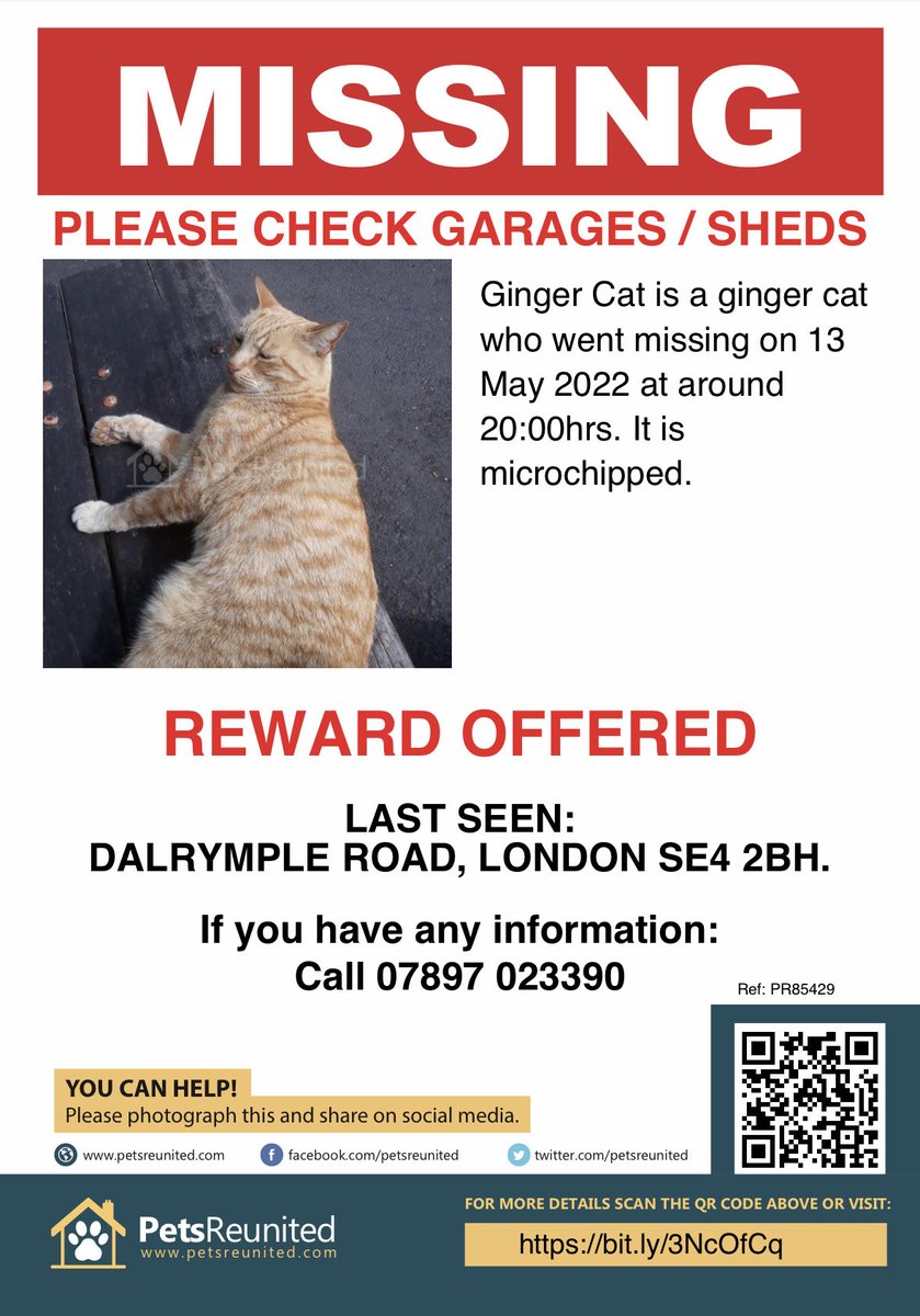 GingerBench's tweet photo. Please help find me. Thank you! https://t.co/zwaTz42xsL