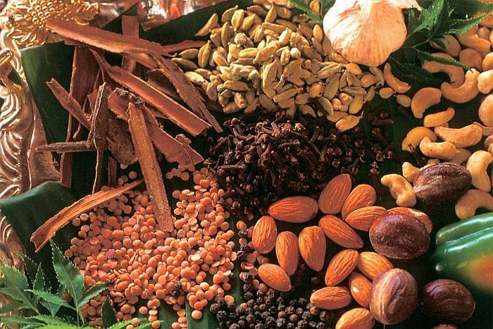 jairosadventur1's tweet photo. The famous spice island with exotic smells and outstanding beaches...
#spicetourzanzibar #spicefarm #beachvibe #exoticsmell #spices #zanzibarbeach #spiceisland #zanzibarisland https://t.co/Nhl5LGc0fO