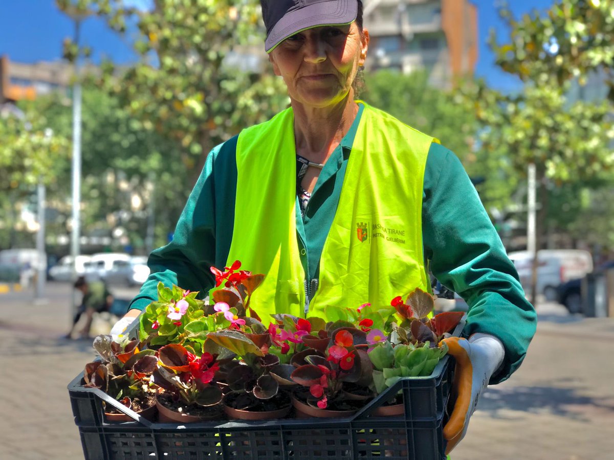 CityOfTirana's tweet photo. Dita nisi me mbjelljet e reja te 🌲lulishtja “28 Nëntori”, të cilat i dhanë ngjyrat e pranverës këtij mëngjesi!
Edhe pse puna është në proces, lulet 🌹🌷🌻duken kaq bukur, saqë vështirë të mos tërheqin vëmendjen e çdo kalimtari. https://t.co/GvTFXzZdZY