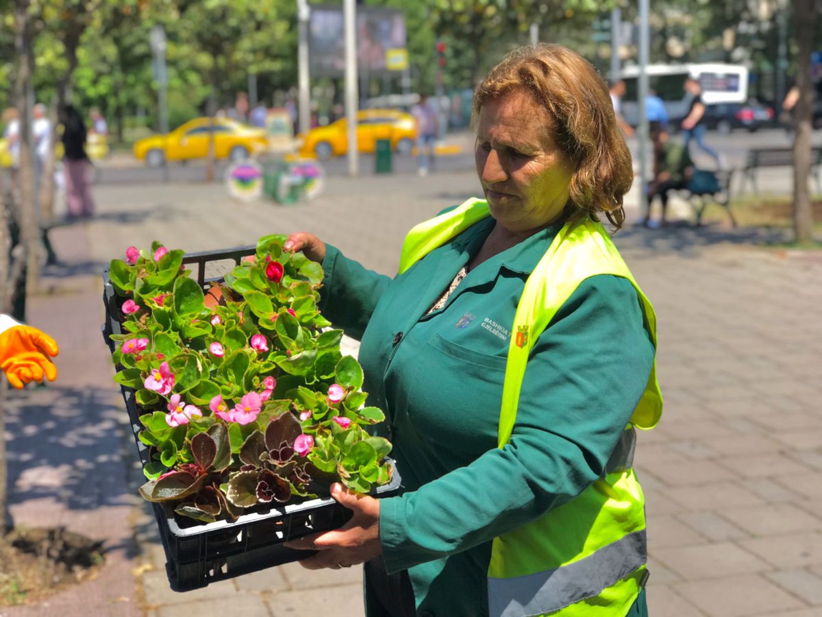 CityOfTirana's tweet photo. Dita nisi me mbjelljet e reja te 🌲lulishtja “28 Nëntori”, të cilat i dhanë ngjyrat e pranverës këtij mëngjesi!
Edhe pse puna është në proces, lulet 🌹🌷🌻duken kaq bukur, saqë vështirë të mos tërheqin vëmendjen e çdo kalimtari. https://t.co/GvTFXzZdZY