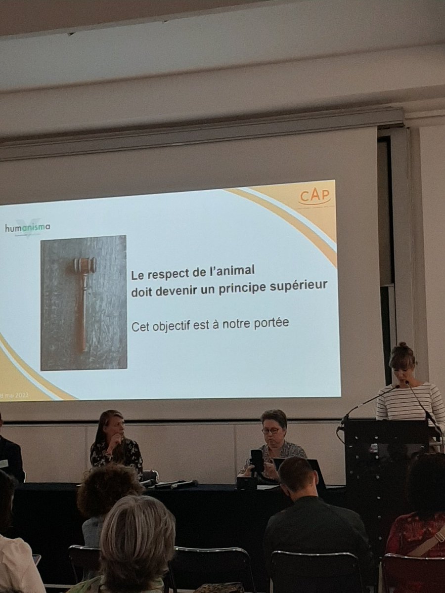 CAPpolitique's tweet photo. La première intervenante est @CharlotteArnal d’#Humanisma qui explique les enjeux autour de la constitutionnalisation de la protection animale 🏛 #RencontreCAP
#EthiqueAnimale https://t.co/yZ6uoPYY4Z