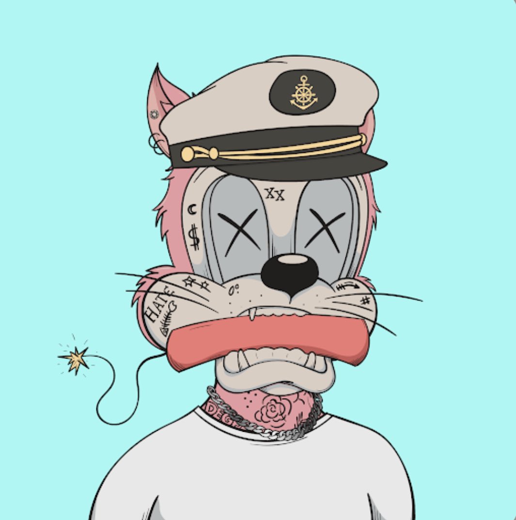 DaniBondani's tweet photo. @NftDavidson @DegenToonz  🚀🚀 https://t.co/8wWWmqvOH7