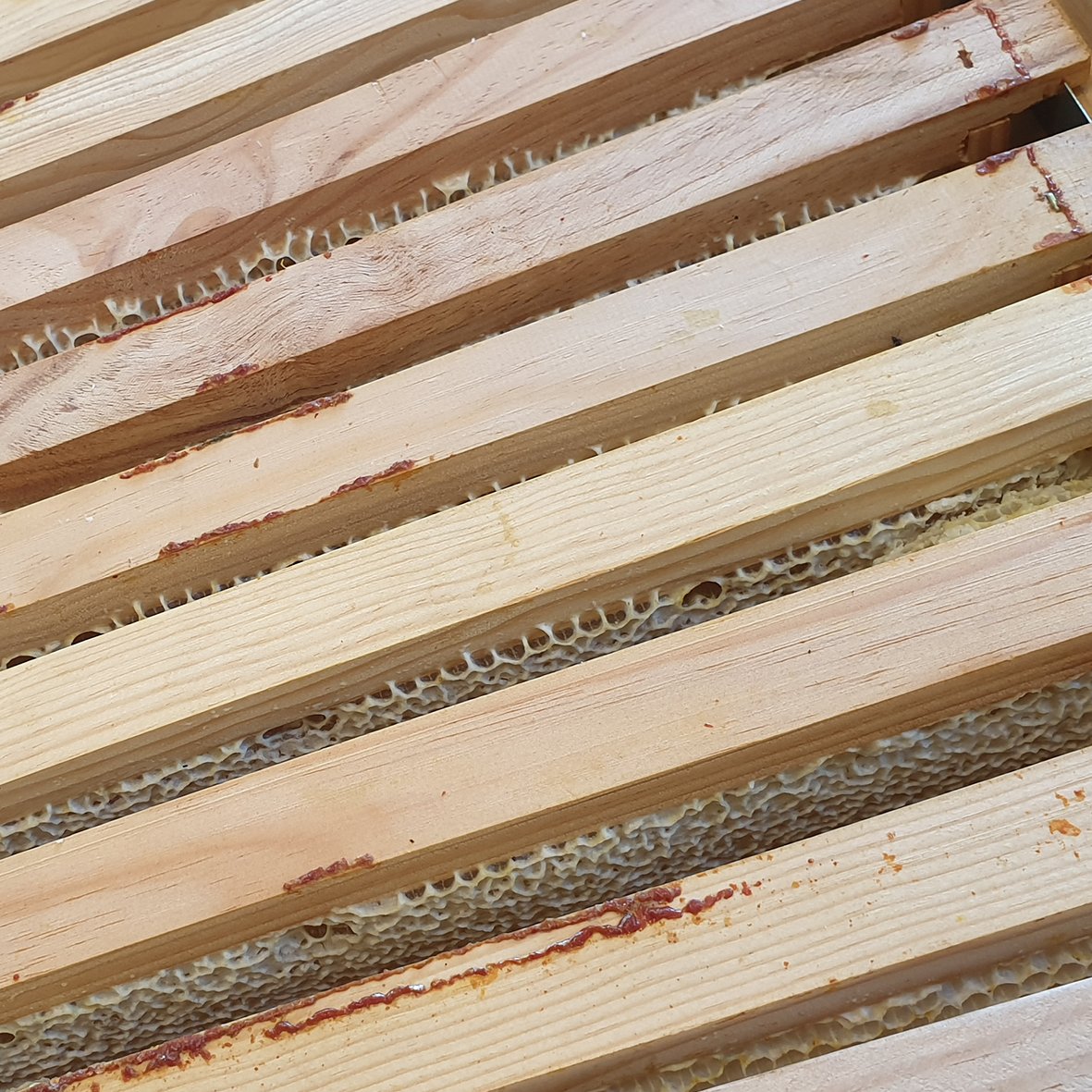 MBPack_fr's tweet photo. 🐝 Bzz bzz bzzz !
🍯 De passage dans l’entreprise, nos salariés ont eu l’opportunité d’accompagner l’apiculteur en charge de la récolte du miel de nos deux ruches.
☀️ Un joli moment convivial partagé tous ensemble !
#mbpack #rse #engagement #écoresponsabilté #entreprise https://t.co/QgFrrvy0bq
