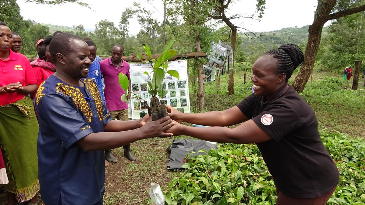 2/3 Earlier this month, #Solidaridad mobilized 186 #youth farmers to participate in the ‘Coffee Start Up 2022’ campaign, 120 #youth under ‘#TRACEKenya’ received the first batch of 30,000 of the total 46,500 #coffeeseedlings. 
#Changethatmatters
<a href="/bettymusembi/">Betty Musembi</a> <a href="/JenifferChemis3/">Jeniffer Kandagor</a>