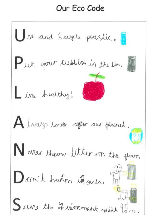 Student Governors have created an acrostic poem to produce an Eco-Code for our School. The Eco-Code is part of the Eco Schools Green Flag Award that we are working towards.
#EcoSchools