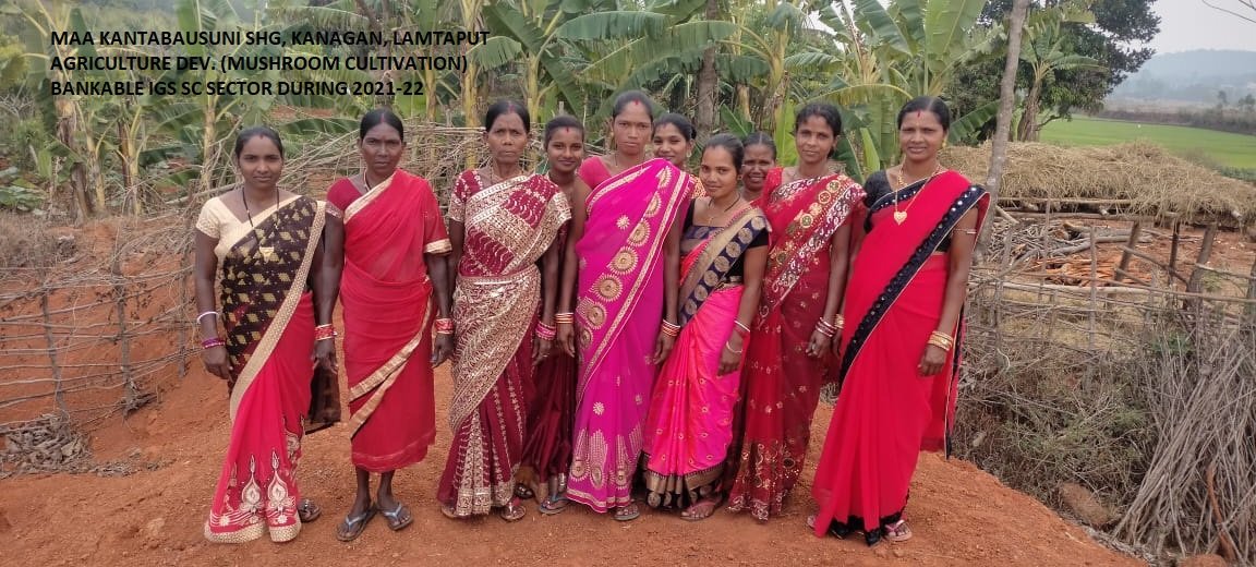 scstdevdept's tweet photo. BPL SC Women Self Help Groups engaged in different #farming activities after being financed through #OSFDC under Bankable Income Generating #Scheme.
@CMO_Odisha @TribalAffairsIn @IPR_Odisha @stscdev @saraka_fan @MoSarkar5T
#Scstdevlopment #triba #farming #Ruraldevelopment https://t.co/u9PLzE3w0Y