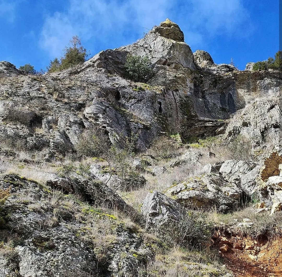 EspejonGeonatur's tweet photo. ¡Disfrutando por el Cañón de Palositos!
Como nos gusta compartir vuestras experiencias por Espejón y su precioso entorno natural.
📸 @dieg_est
#espejon #soria #castillayleon #cyl @CyLesVida #soriaestademoda #sorianitelaimaginas #soriamola #turismo #naturaleza #palositos https://t.co/SKdHY1DaUh
