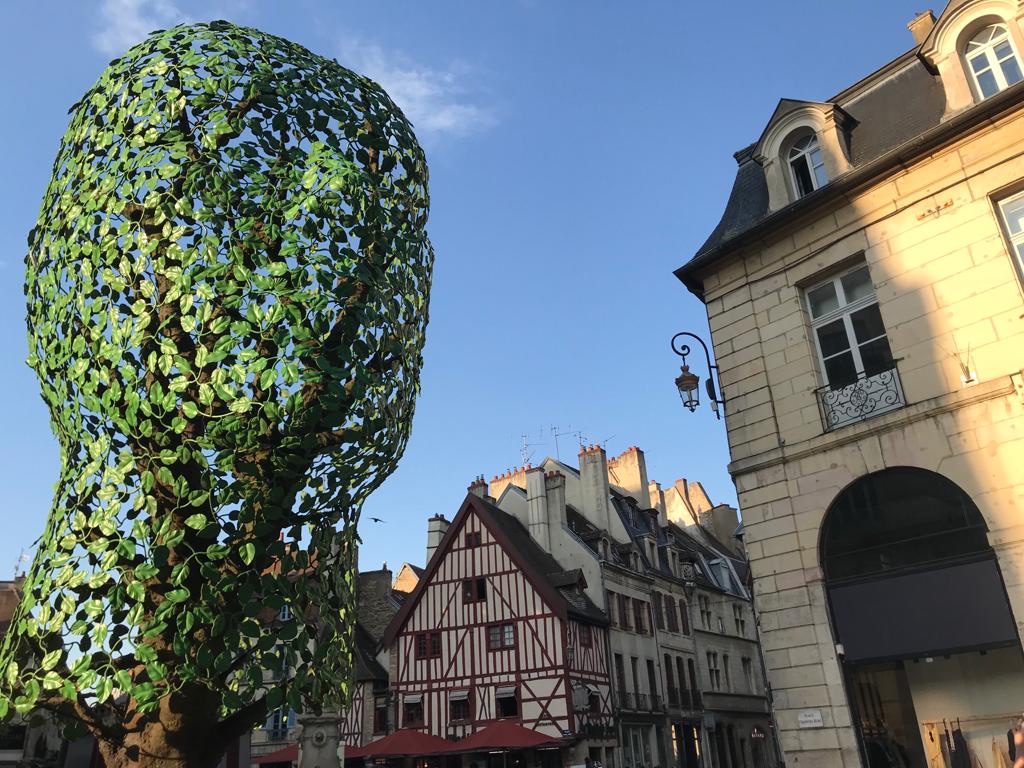 IT_AtoutFrance's tweet photo. [cultura] La città di Digione , capitale della Borgogna . Da visitare il Musee 
des Beaux Arts e l’élégante  Palazzo Ducale . Una città da vedere per un prossimo viaggio in Borgogna 💛 #ExploreFrance @VisitDijon @BFC_Tourisme https://t.co/Jvk7sjNwPz