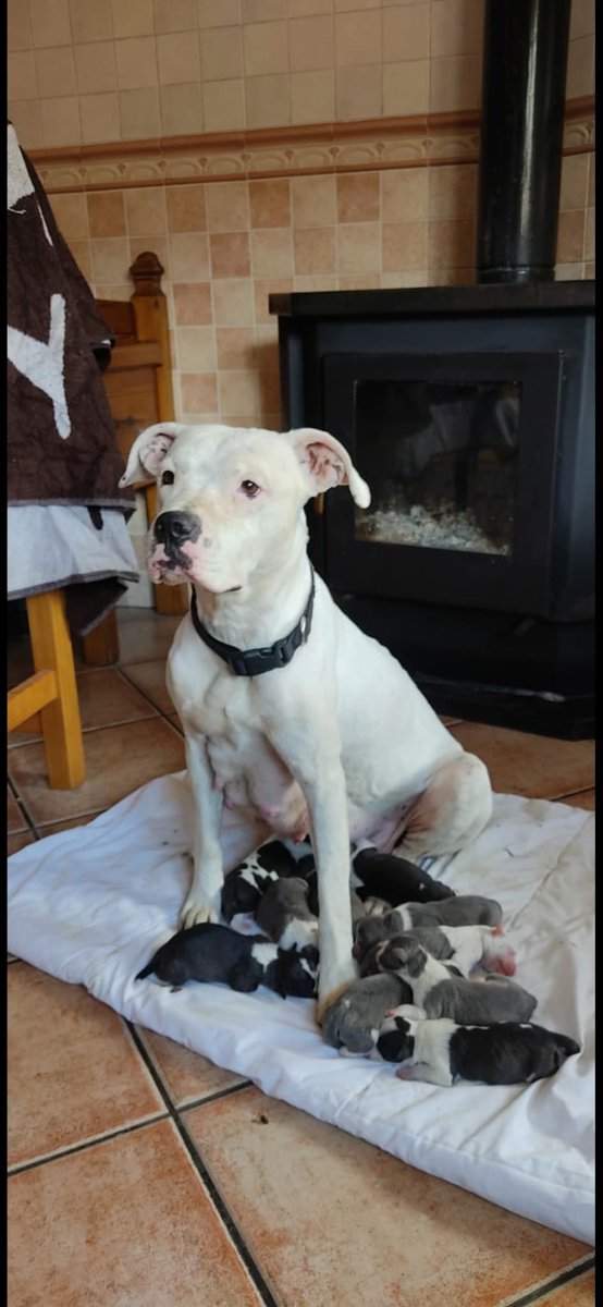 Moni✨✌🏼 tweet media