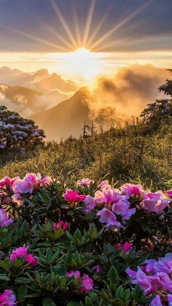 Good morning ☀️

#NaturePhotography #NaturalBeauty #nature